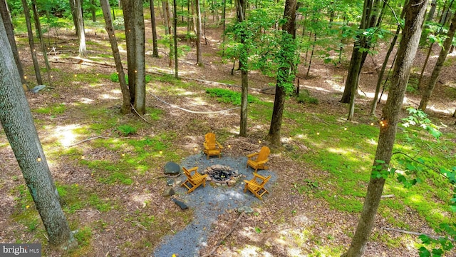 114 Limestone Ln, Berkeley Springs, WV 25411 - view of yard featuring an outdoor fire pit