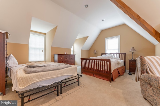 201 Dogwood Slope Rd, Wilmington, DE 19807 - bedroom featuring light colored carpet and lofted ceiling