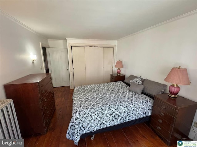 35 W Broadway, Jim Thorpe, PA 18229 - bedroom featuring dark wood finished floors and crown molding