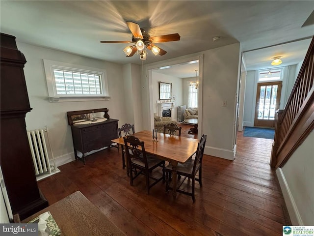 35 W Broadway, Jim Thorpe, PA 18229 - dining room featuring radiator heating unit, healthy amount of natural light, ceiling fan, and dark wood-style floors