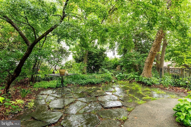 view of yard featuring fence