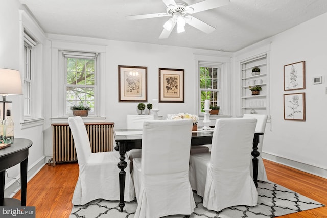 dining space with radiator, wood finished floors, and plenty of natural light