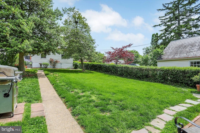view of green lawn