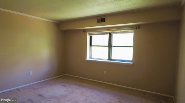 spare room with baseboards, ornamental molding, and carpet flooring