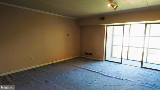carpeted spare room with crown molding and baseboards