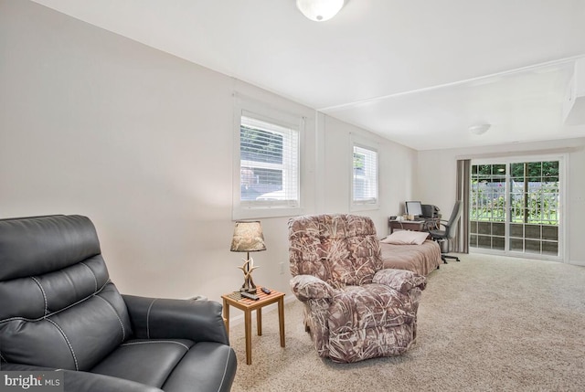 11545 Tomahawk Trl W, Lusby, MD 20657 - sitting room featuring carpet floors and a desk