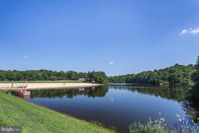 11545 Tomahawk Trl W, Lusby, MD 20657 - water view with a heavily wooded area