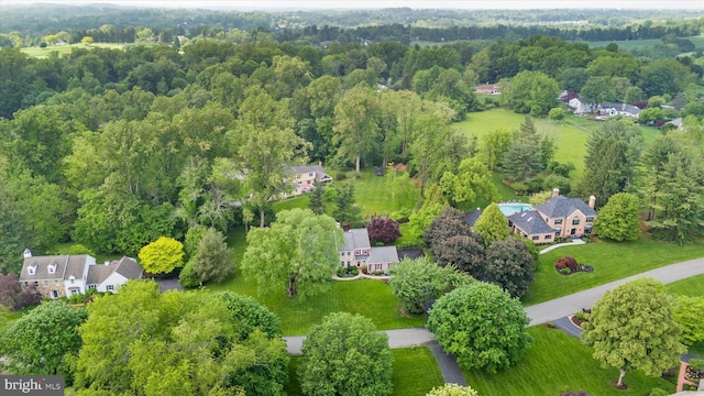 bird's eye view