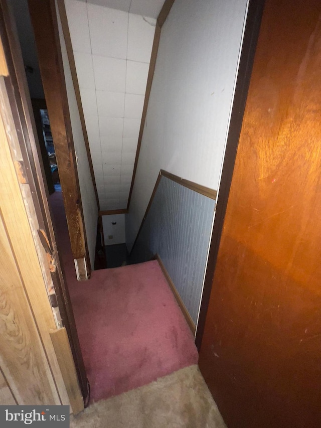411 S Vine St, Shamokin, PA 17872 - staircase with carpet floors and a wainscoted wall