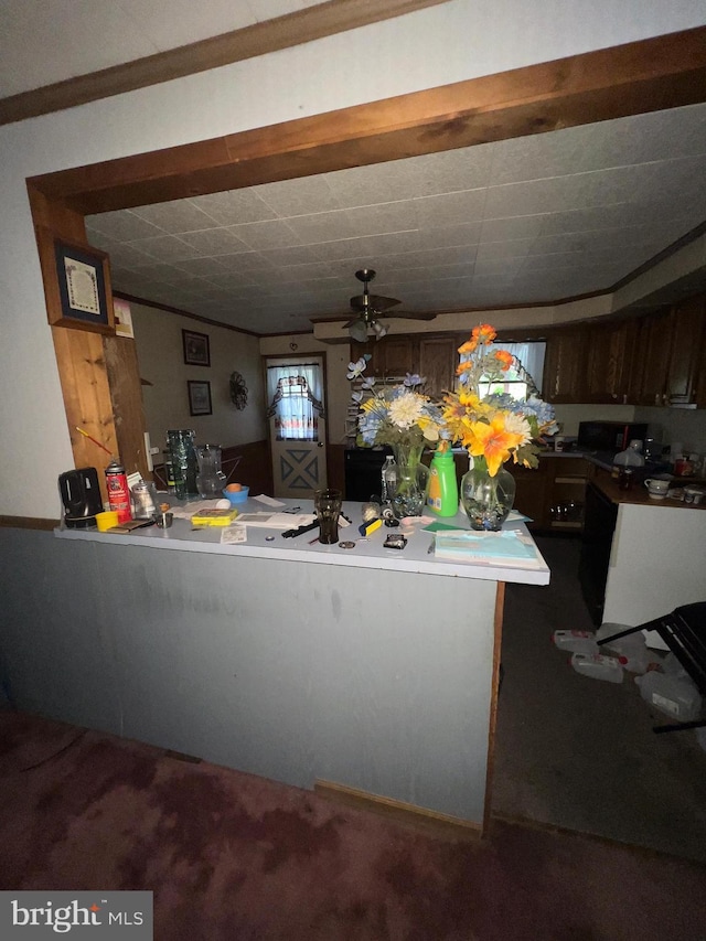 411 S Vine St, Shamokin, PA 17872 - kitchen featuring a ceiling fan, a peninsula, and carpet flooring