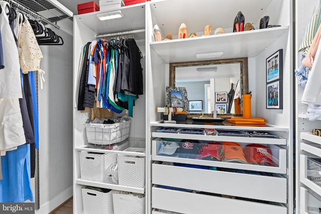 1300 4th St SE Unit 404, Washington, DC 20003 - view of walk in closet