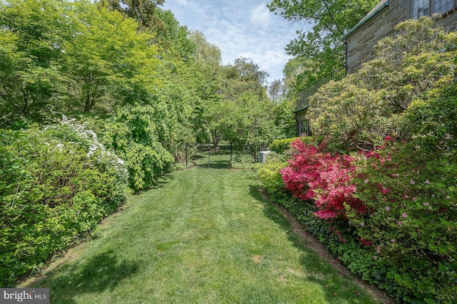 view of yard