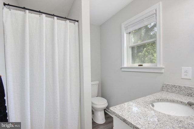 411 S Blvd, Salisbury, MD 21801 - full bathroom featuring toilet, vanity, wood finished floors, and curtained shower