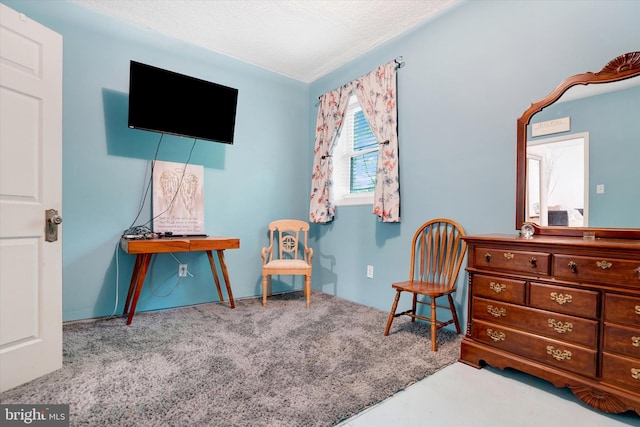 13450 Millstone Cir, Hancock, MD 21750 - living area with carpet