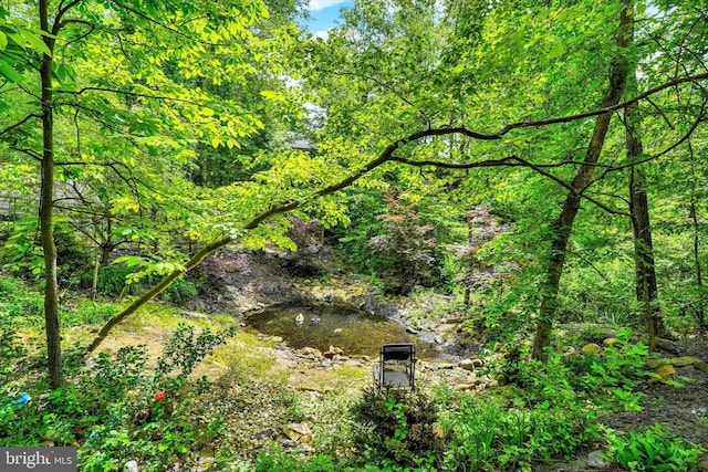 13450 Millstone Cir, Hancock, MD 21750 - view of woods