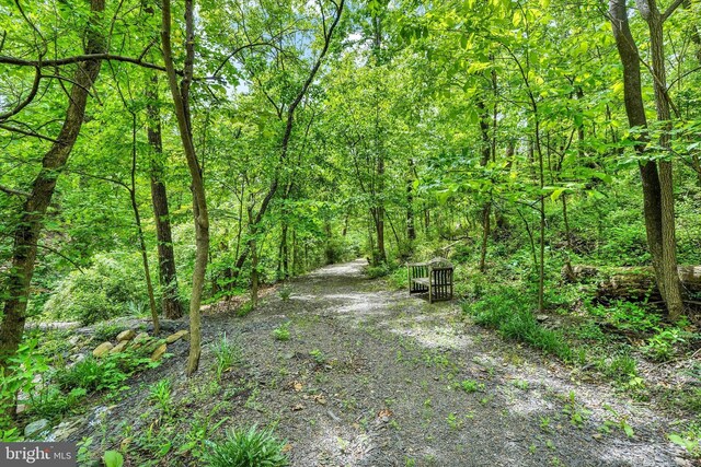 13450 Millstone Cir, Hancock, MD 21750 - view of street with a forest view