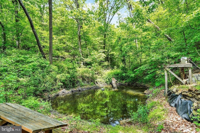 13450 Millstone Cir, Hancock, MD 21750 - view of yard
