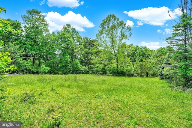 13450 Millstone Cir, Hancock, MD 21750 - view of yard with a view of trees