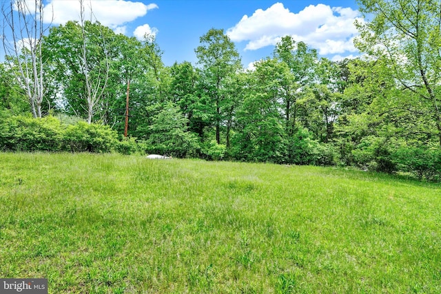13450 Millstone Cir, Hancock, MD 21750 - view of yard