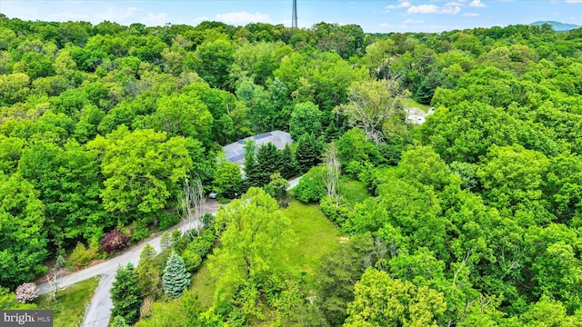13450 Millstone Cir, Hancock, MD 21750 - bird's eye view of a heavily wooded area