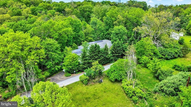 13450 Millstone Cir, Hancock, MD 21750 - drone / aerial view of a forest