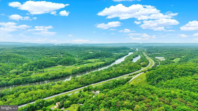 13450 Millstone Cir, Hancock, MD 21750 - bird's eye view of a large body of water and a forest