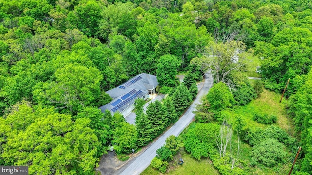 13450 Millstone Cir, Hancock, MD 21750 - aerial view of property and surrounding area with a forest