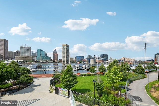 806 Ryan St, Baltimore, MD 21230 - surrounding community featuring a skyline view and a water view