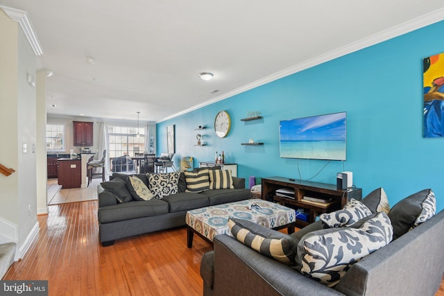 806 Ryan St, Baltimore, MD 21230 - living room with ornamental molding and light wood-style floors