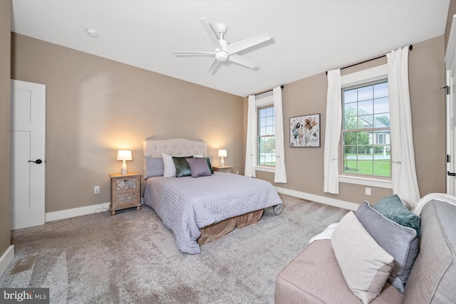 843 Summer Breeze Path, Cochranville, PA 19330 - bedroom with carpet floors, baseboards, and ceiling fan