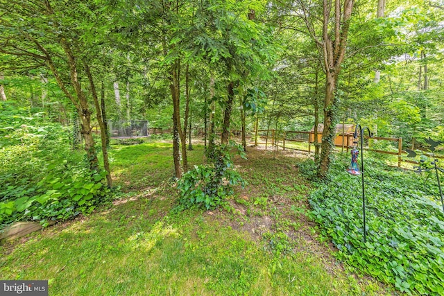 8323 Morningside Dr, Manassas, VA 20112 - view of yard