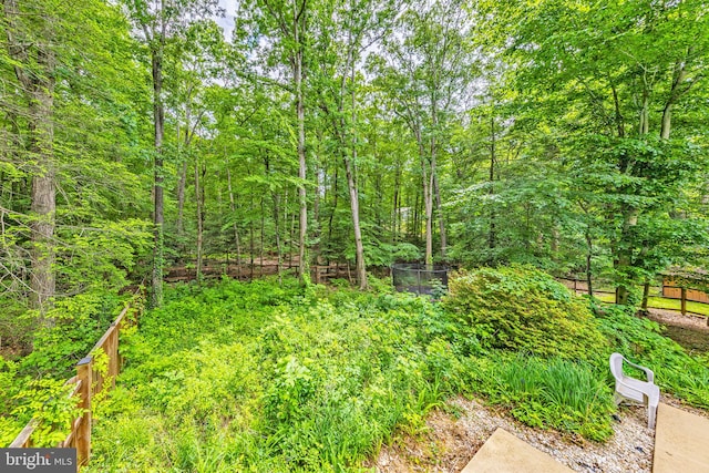 8323 Morningside Dr, Manassas, VA 20112 - view of yard featuring a forest view