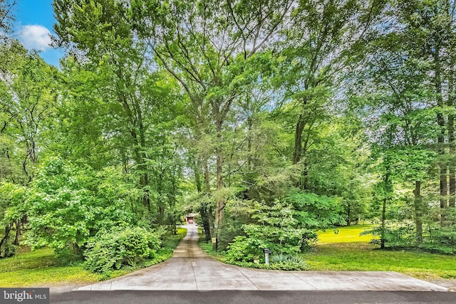 8323 Morningside Dr, Manassas, VA 20112 - view of surrounding community