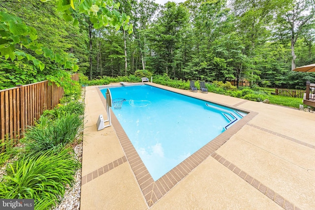 8323 Morningside Dr, Manassas, VA 20112 - view of swimming pool with a patio area