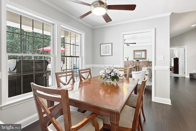 10 Greystone Dr, Lewes, DE 19958 - dining space featuring a ceiling fan, ornamental molding, and dark wood-style flooring