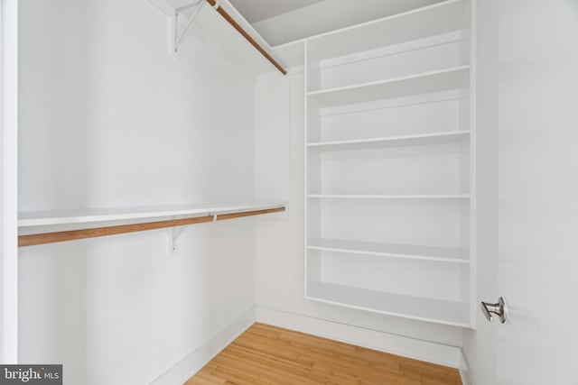 315 Dupont St, Philadelphia, PA 19128 - walk in closet featuring light wood-style floors