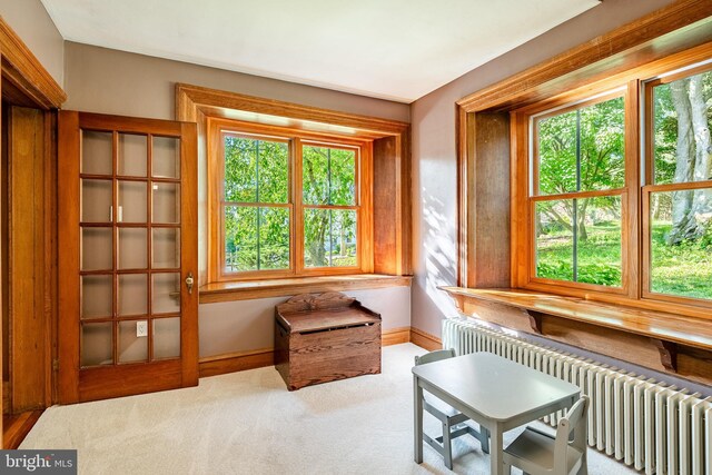 1148 Bodine Rd, Chester Springs, PA 19425 - living area featuring radiator heating unit, carpet, and baseboards