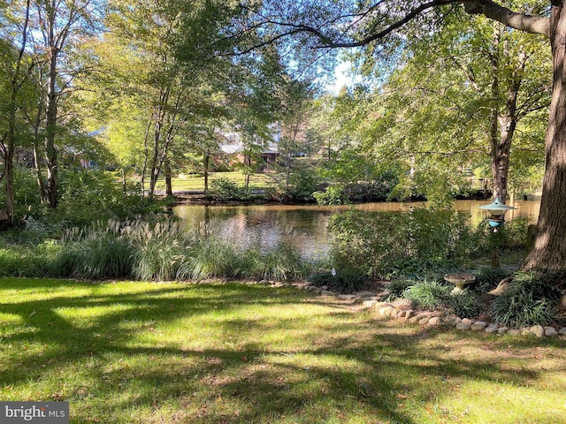 5941 Powells Landing Rd, Burke, VA 22015 - view of grassy yard featuring a water view