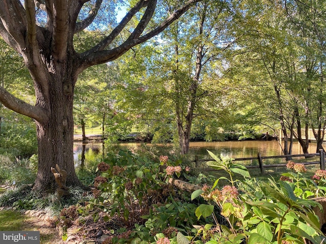 5941 Powells Landing Rd, Burke, VA 22015 - view of yard featuring a water view, fence, and a forest view