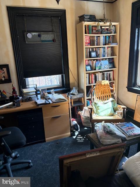 home office with carpet flooring