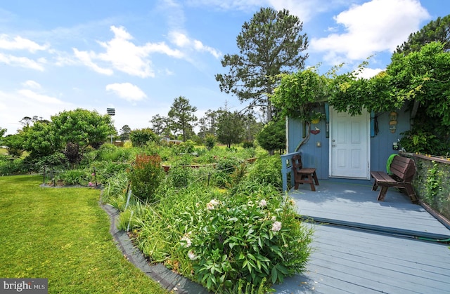 7466 Beebe Rd, Chincoteague Island, VA 23336 - view of green lawn with a wooden deck