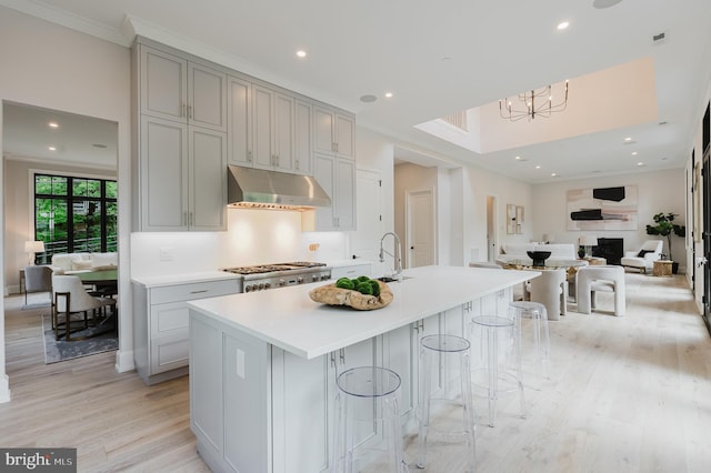 5024 Dana Pl NW, Washington, DC 20016 - kitchen with under cabinet range hood, open floor plan, gray cabinets, light wood-style flooring, and light countertops