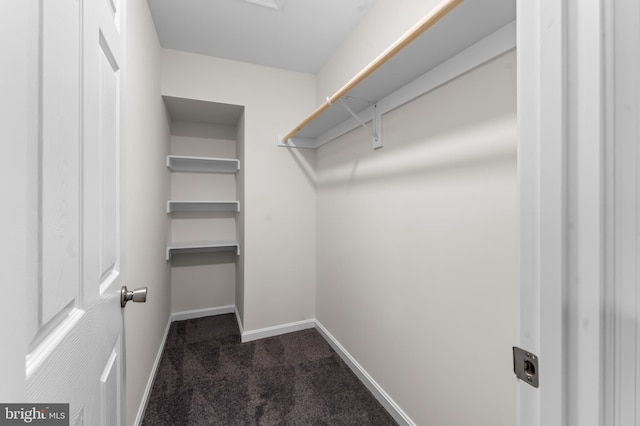 662 W Side Dr Unit 1-H, Gaithersburg, MD 20878 - spacious closet featuring dark carpet
