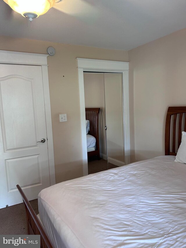 bedroom featuring carpet and a closet