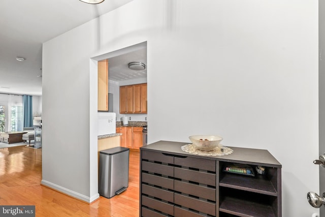 1510 Northern Neck Dr Unit 102, Vienna, VA 22182 - hallway with light wood-type flooring and baseboards