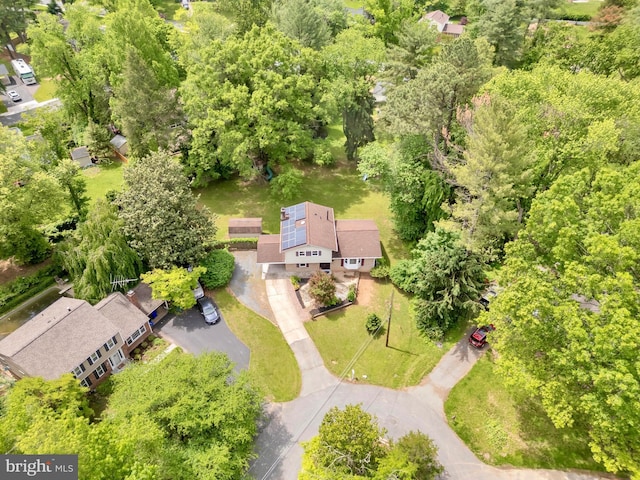 aerial view of a tree filled landscape