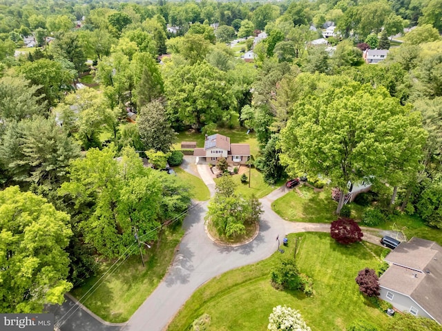 drone / aerial view