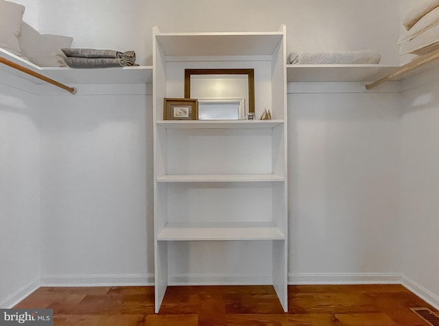 walk in closet featuring wood finished floors