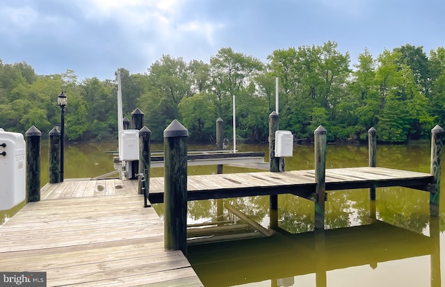 dock area featuring a water view