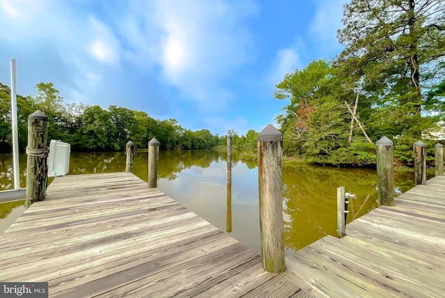 dock featuring a water view